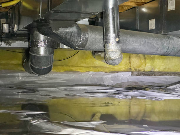 Best Residential water damage restoration  in Holgate, OH