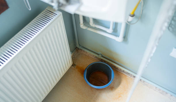 Best Basement water damage restoration  in Holgate, OH