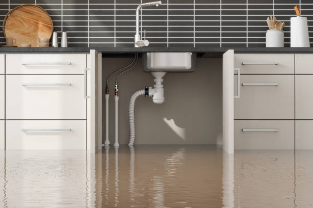 Best Local water damage restoration  in Holgate, OH